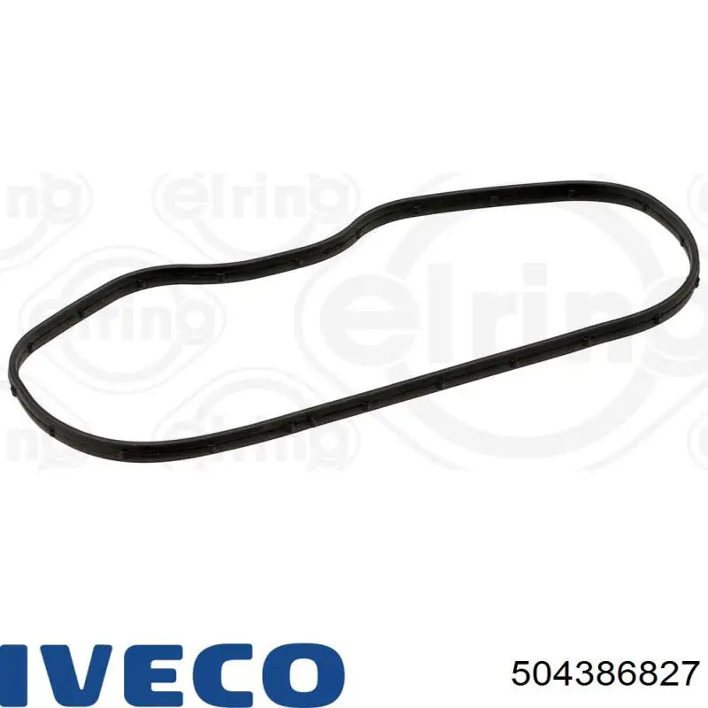 Купити 504386827 Iveco 