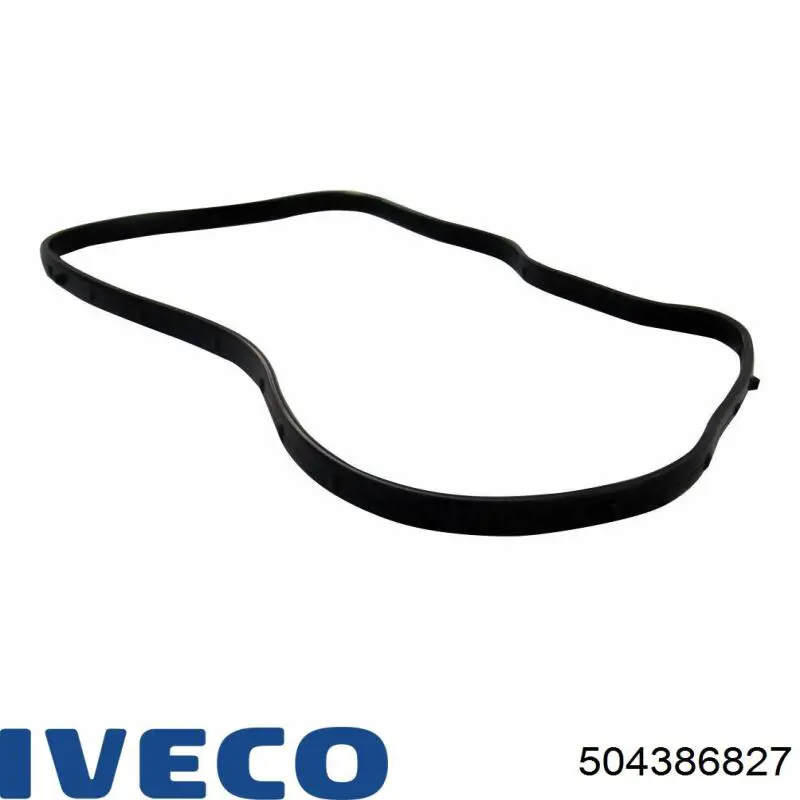  504386827 Iveco