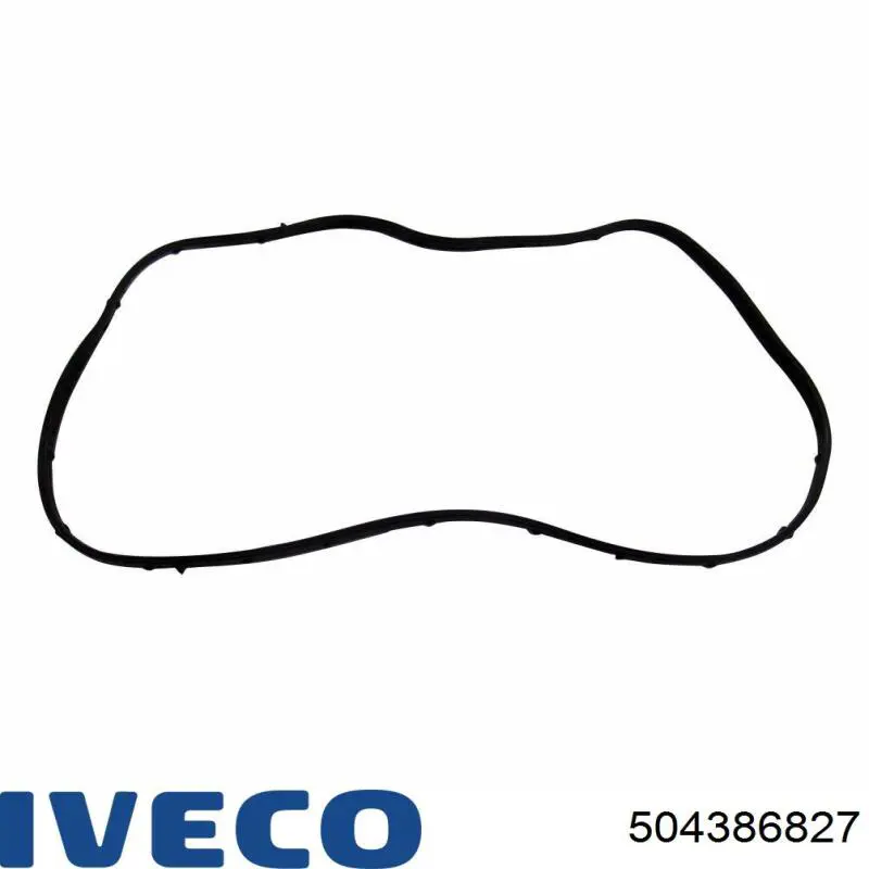 504386827 Iveco 