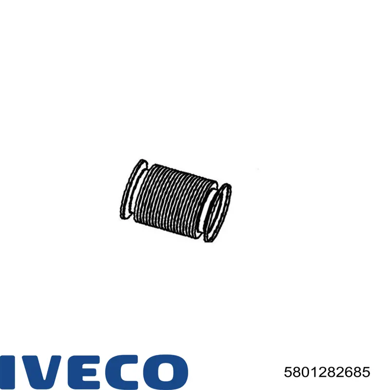 Гофра 5801282685 Iveco