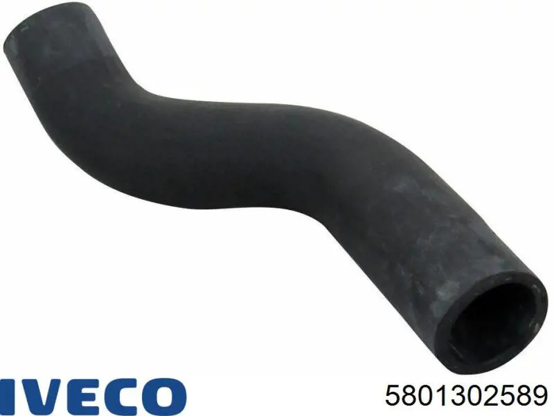 5801302589 Iveco 