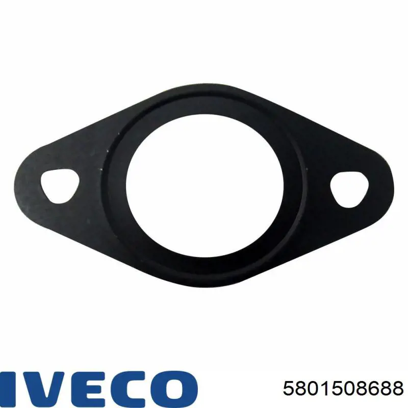 Купити 5801508688 Iveco 