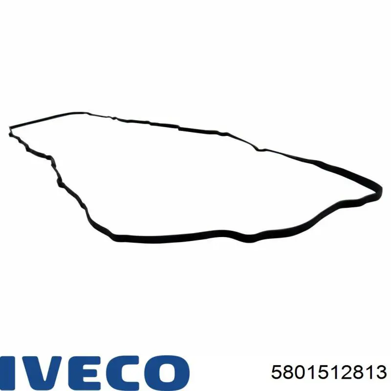 711315100 Victor Reinz 