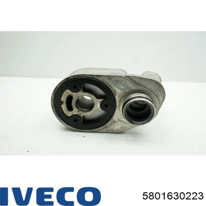 5801630223 Iveco 