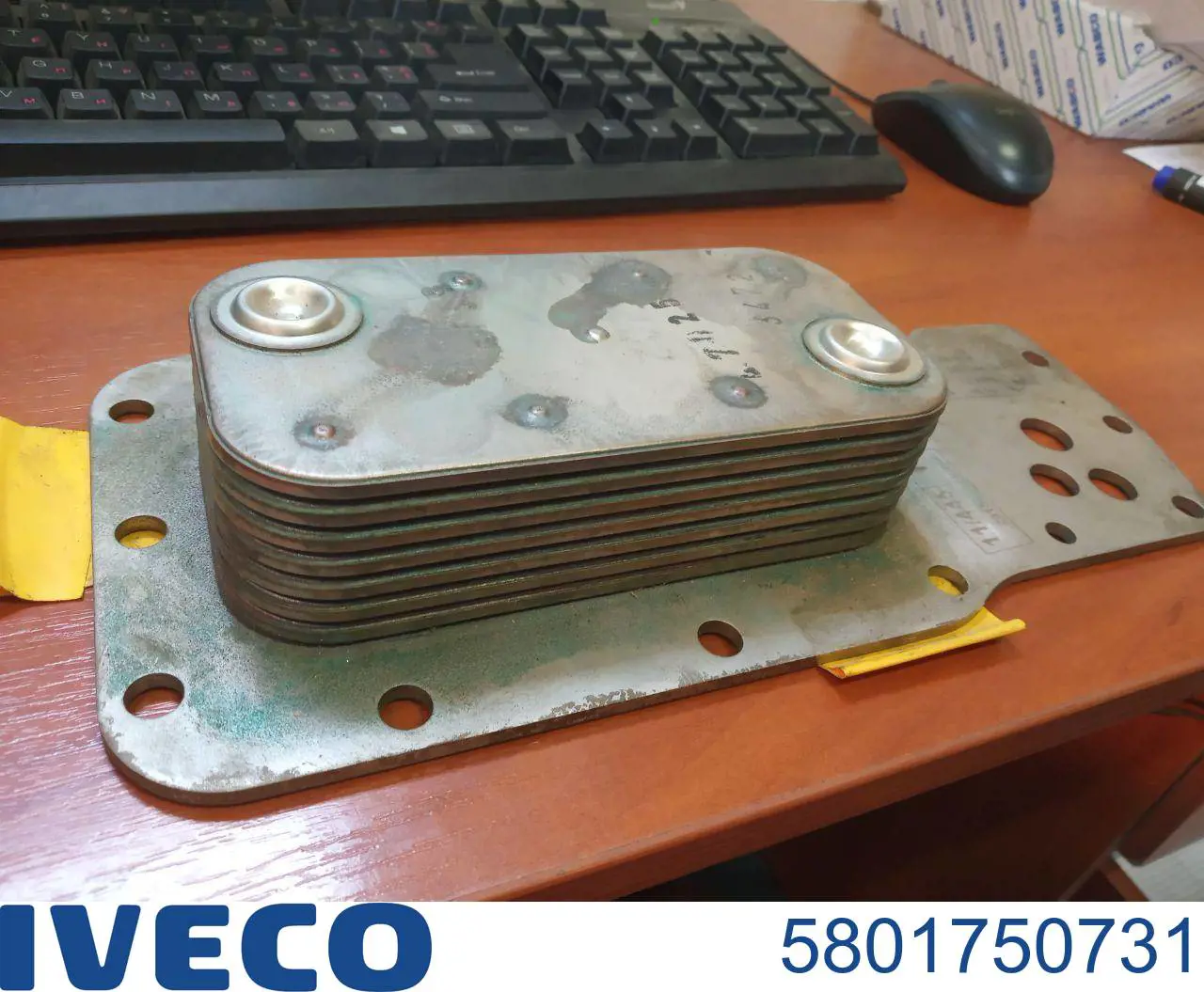 5801750731 Iveco 