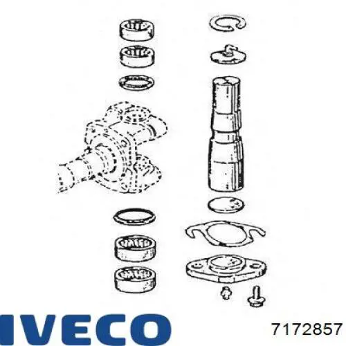 7172857 Iveco Ремкомплект шкворня поворотного кулака