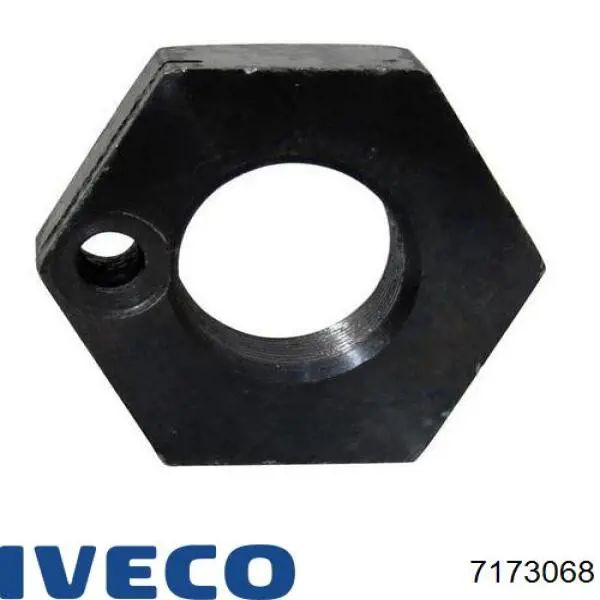 Гайка маточини передньої Iveco 7173068 ціна, від 7.53 USD