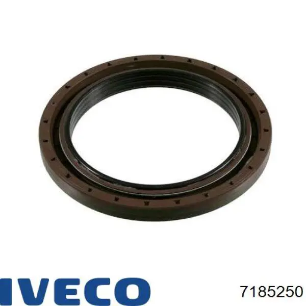 Сальник задньої маточини Iveco 7185250 ціна, від 19.46 USD