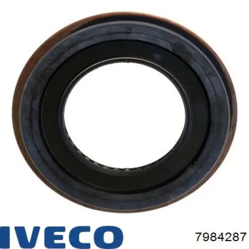 Купити 7984287 Iveco Сальник хвостовика