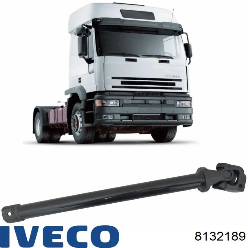 8132189 Iveco 