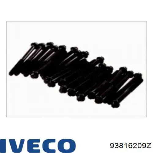 93816209Z Iveco Болти до колеса