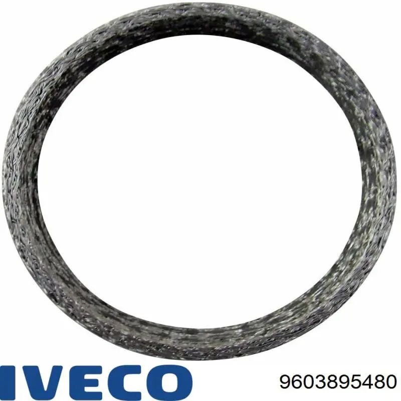 Купити 9603895480 Iveco Прокладка штанів