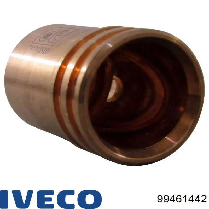 Купити 99461442 Iveco Ремкомплект форсунок