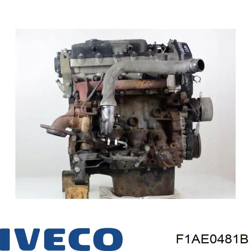 F1AE0481B Iveco Мотор в зборі