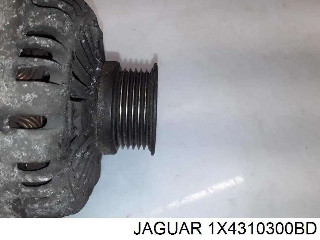 Купити 1X4310300BD Jaguar Генератор