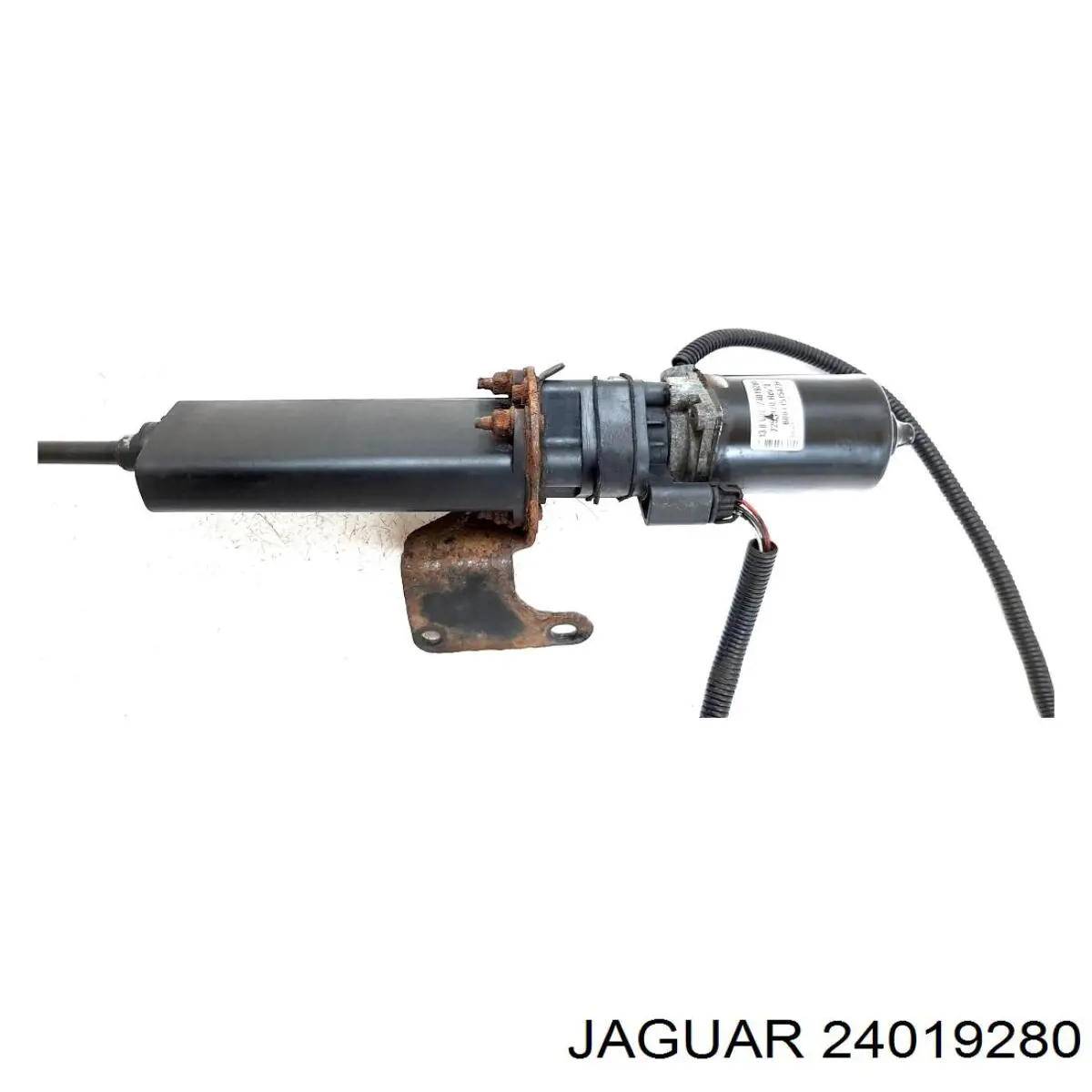  24019280 Jaguar