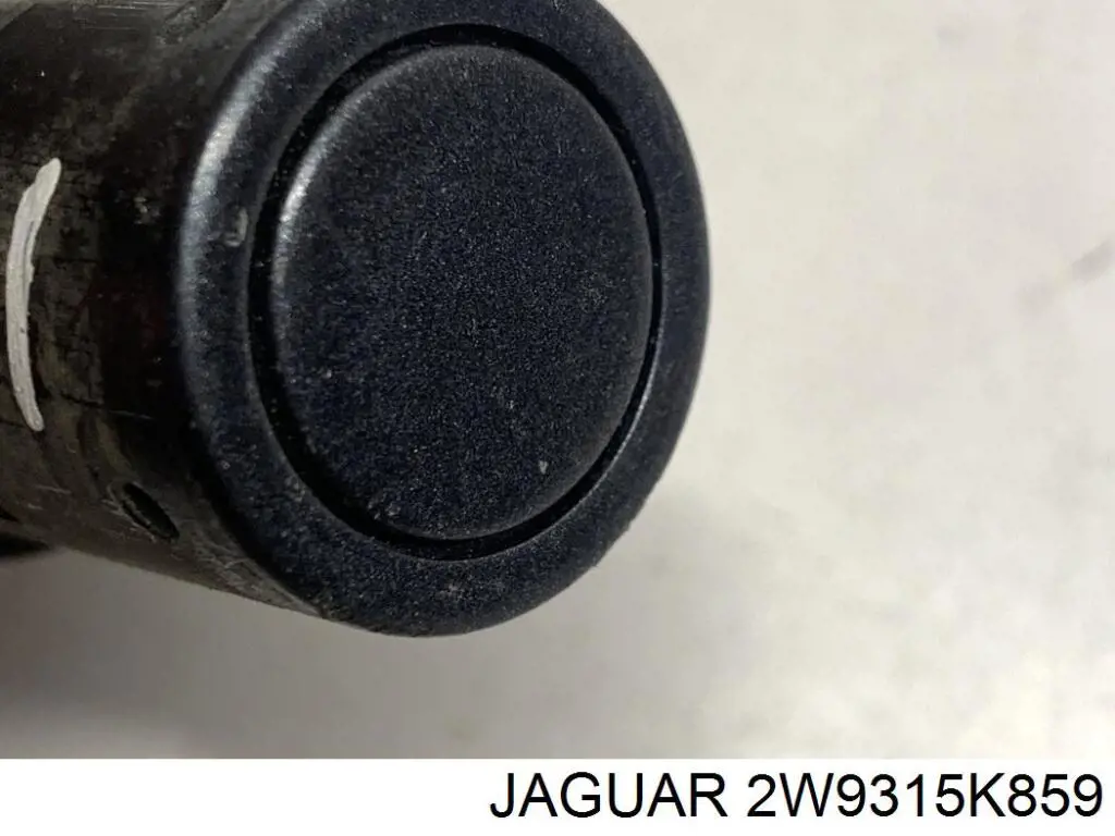 2W9315K859 Jaguar