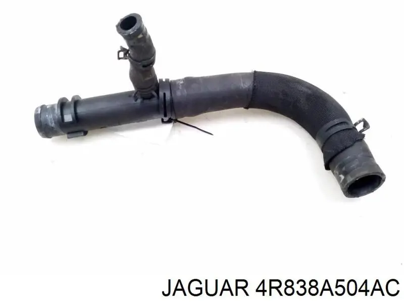 4R838A504AC Jaguar 