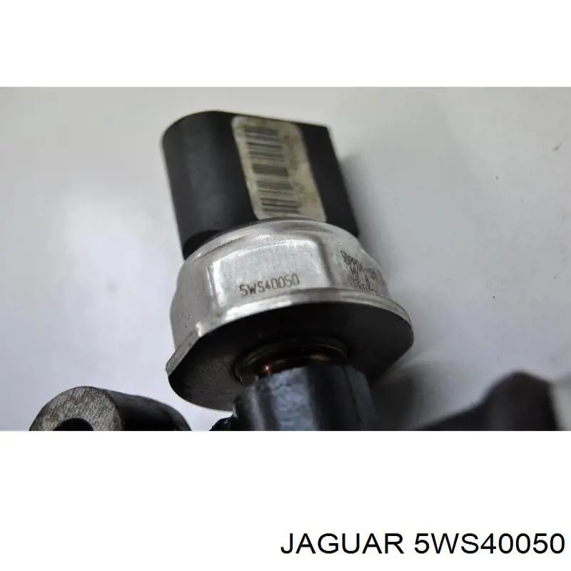  Jaguar 5WS40050