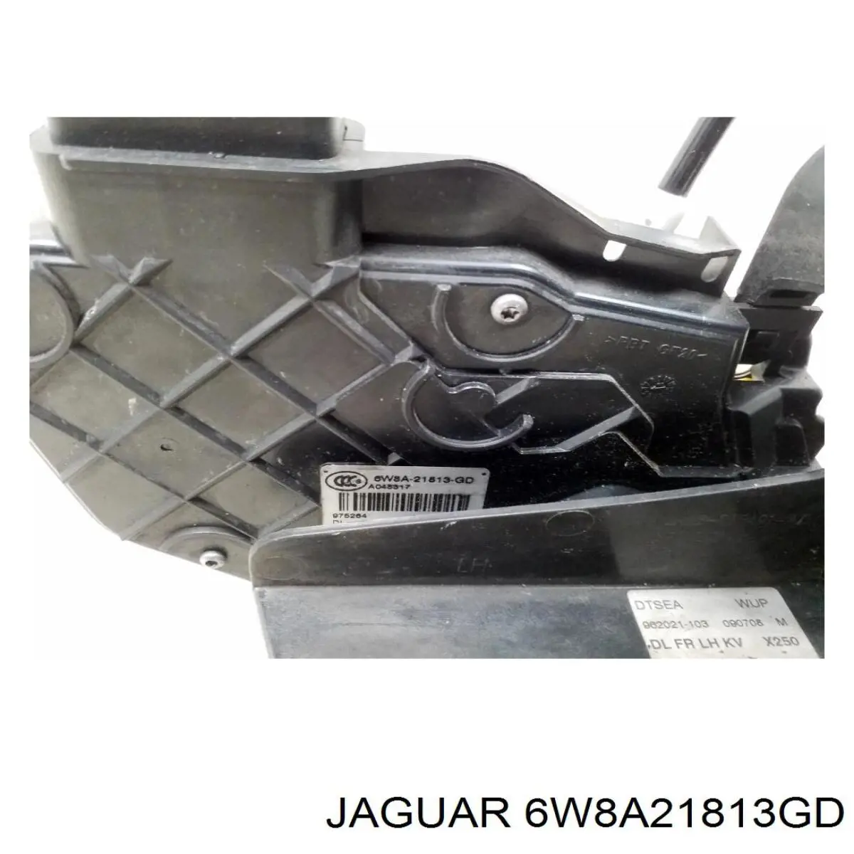  6W8A21813GD Jaguar