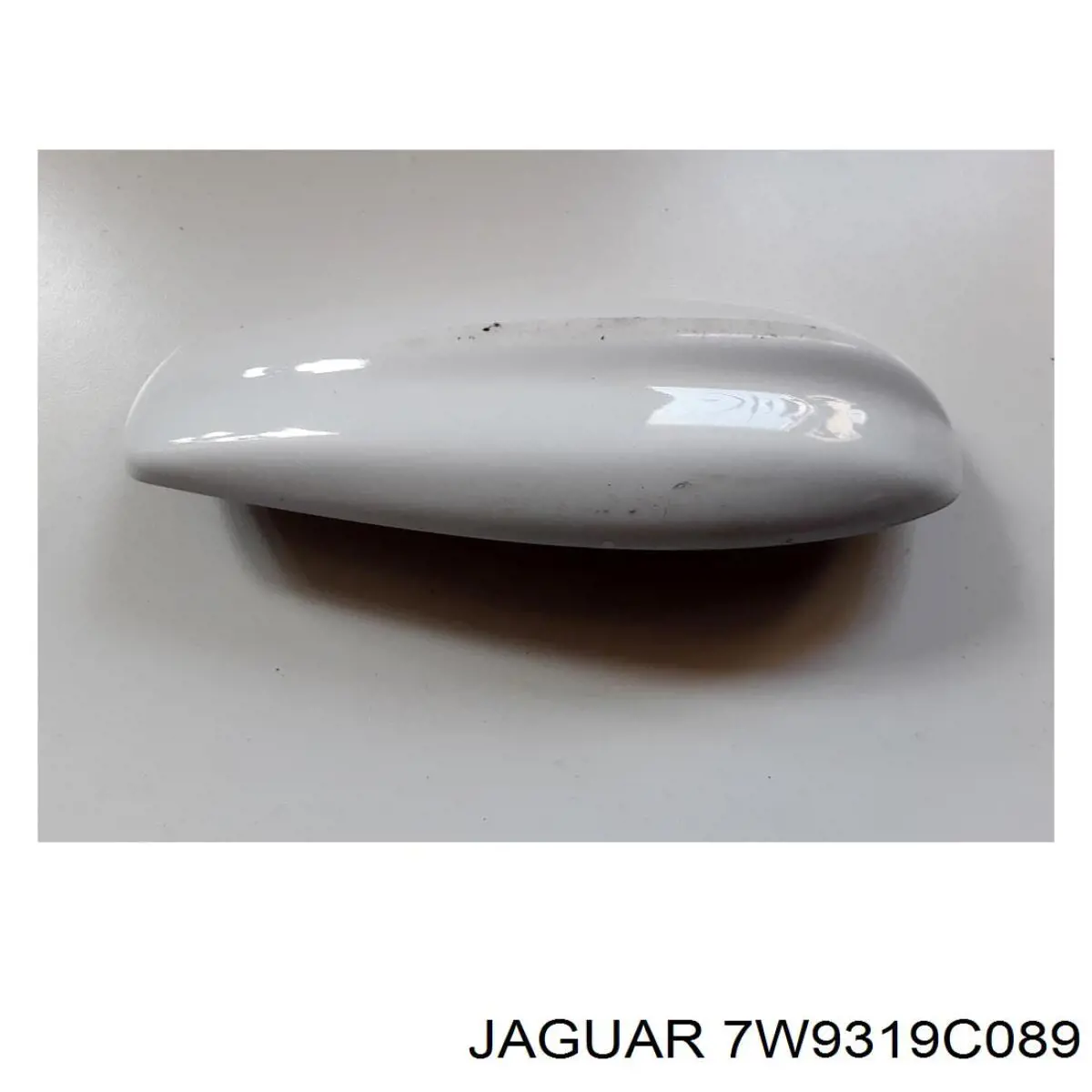 7W9319C089 Jaguar 