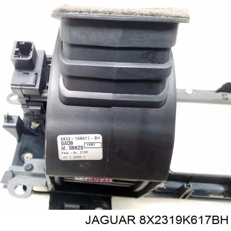 8X2319K617BH Jaguar 