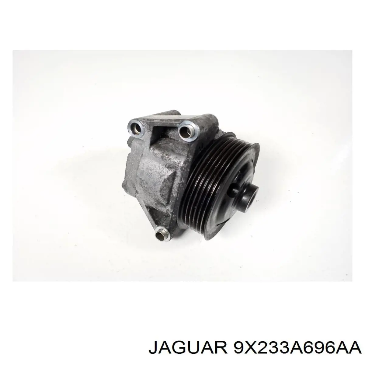 9X233A696AA Jaguar Насос гідропідсилювача