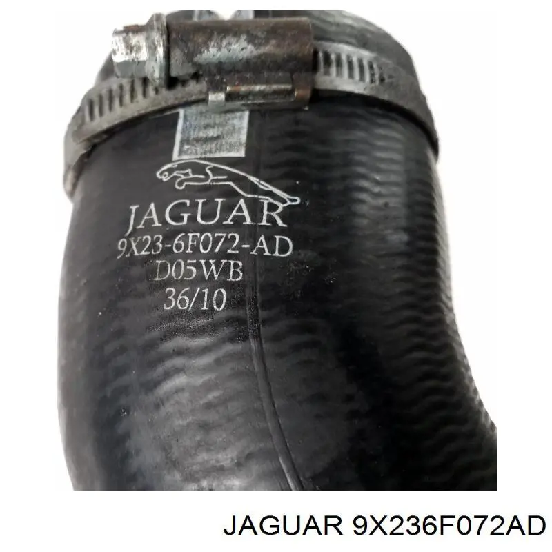 9X236F072AD Jaguar 