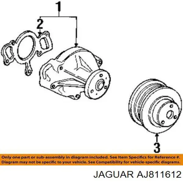 AJ811612 Jaguar прокладка водяної помпи