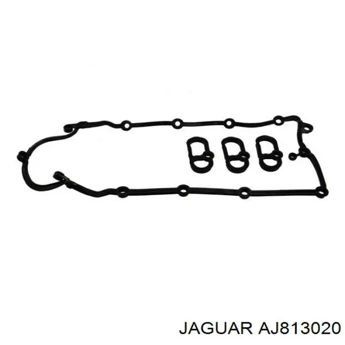 Купити AJ813020 Jaguar Прокладка клапанної кришки, права