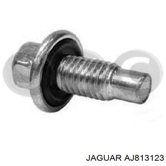 Пробка піддона двигуна AJ813123 Jaguar