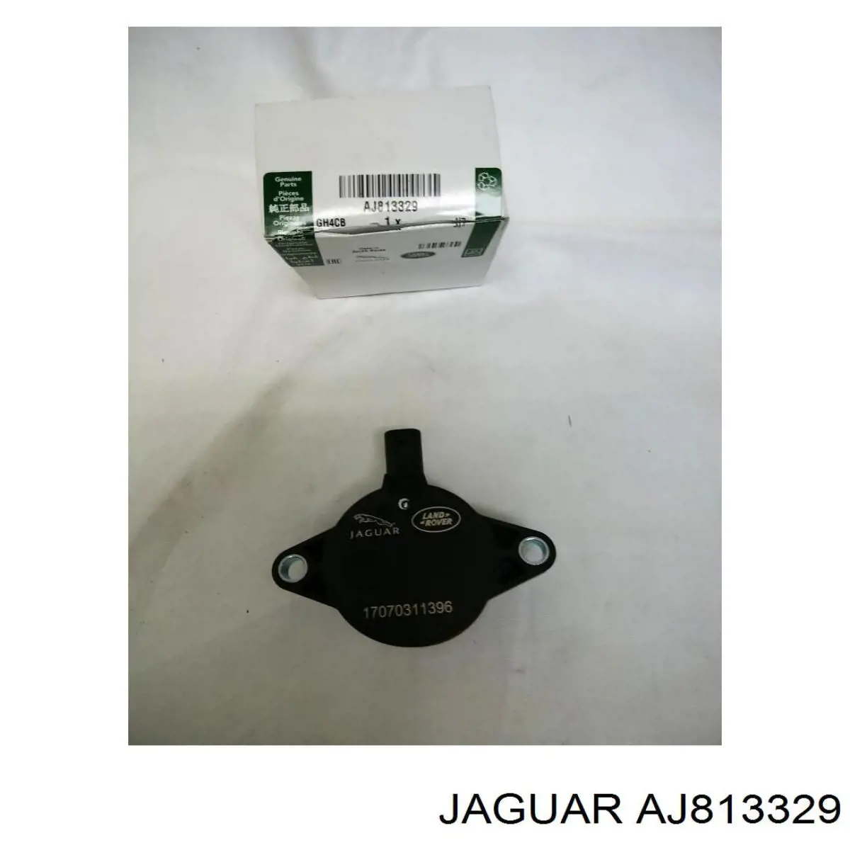  AJ813329 Jaguar