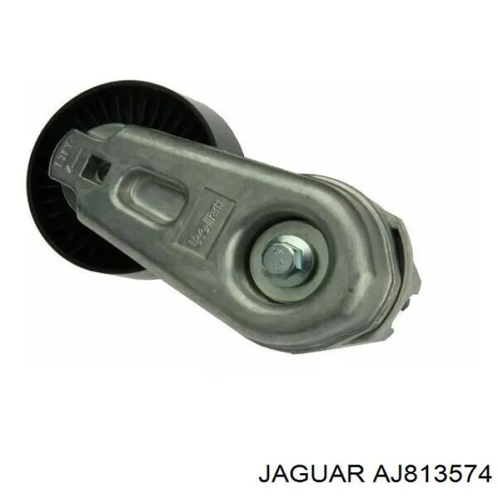  AJ813574 Jaguar