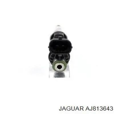 Форсунка паливна Jaguar AJ813643 ціна, від 104.11 USD