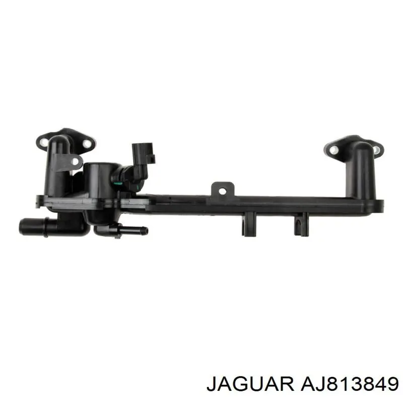 AJ814007 Jaguar 