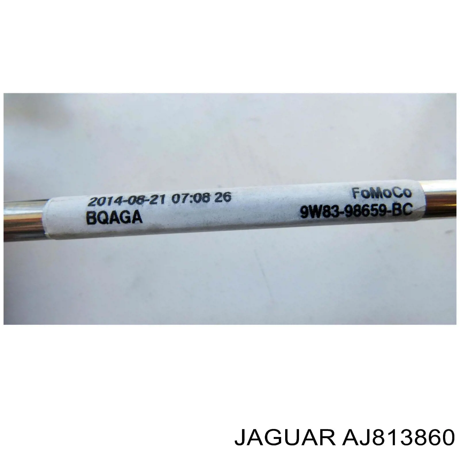 C2Z30819 Jaguar 