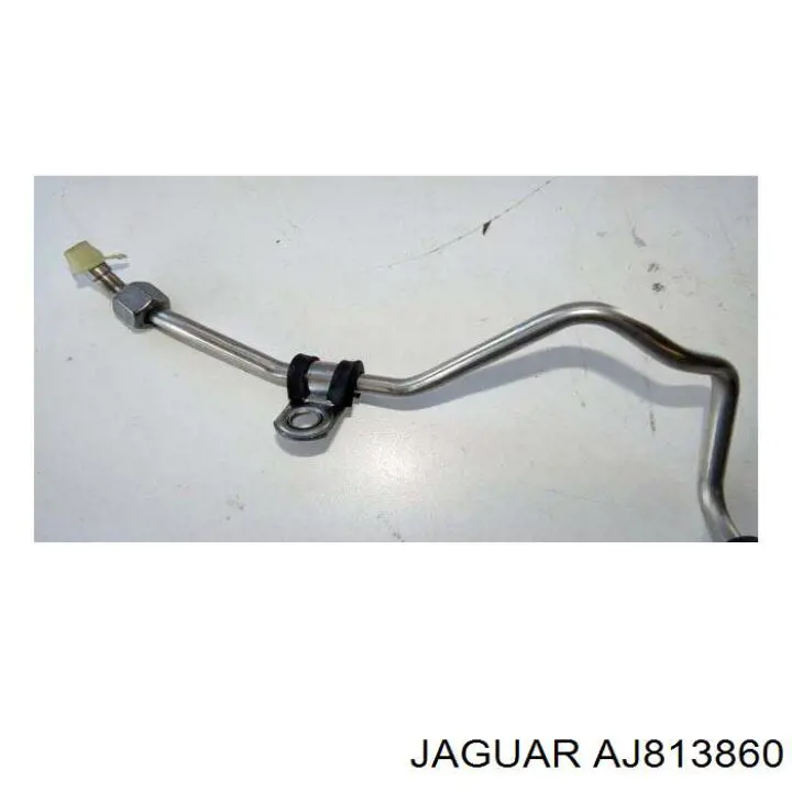  C2Z30819 Jaguar
