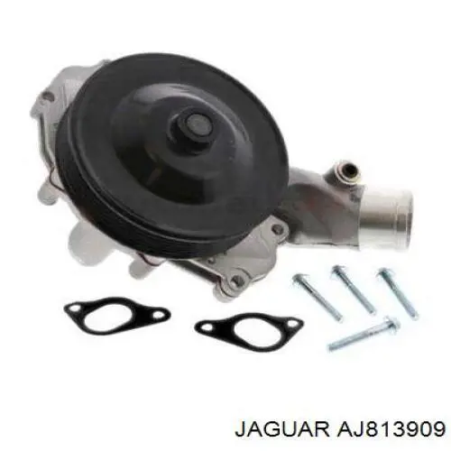 Купити AJ813909 Jaguar Насос охолоджуючої рідини