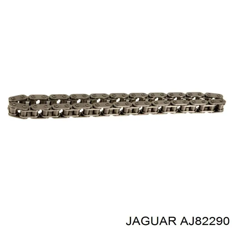  AJ82290 Jaguar