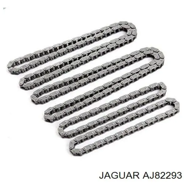 AJ82293 Jaguar 