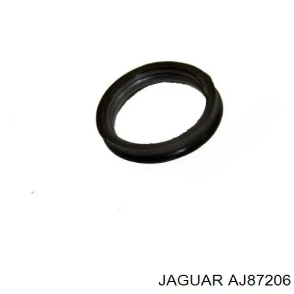 AJ87206 Jaguar 