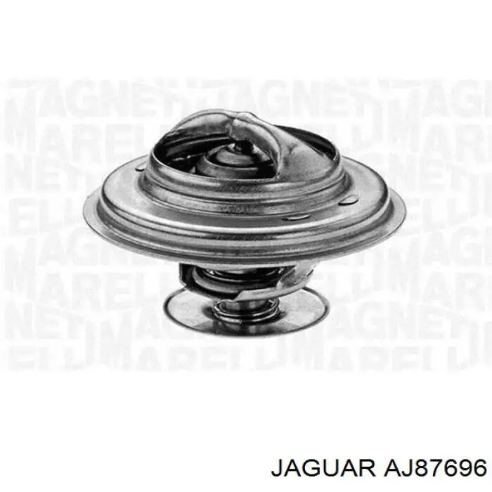  Jaguar AJ811788 ціна, від 76.13 USD