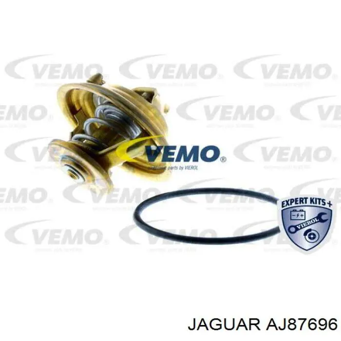AJ811788 Jaguar 