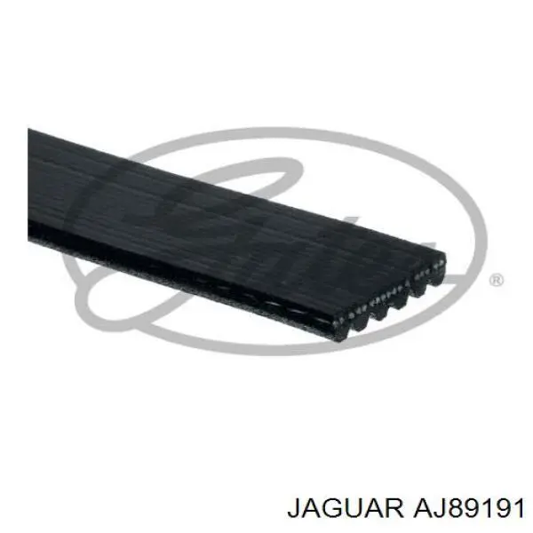 AJ89191 Jaguar ремінь приводний, агрегатів