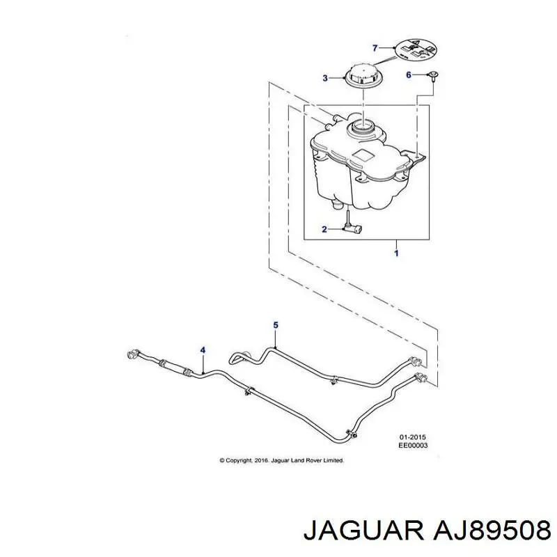  AJ83722 Jaguar