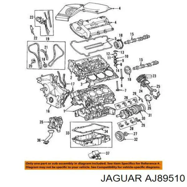  AJ89510 Jaguar