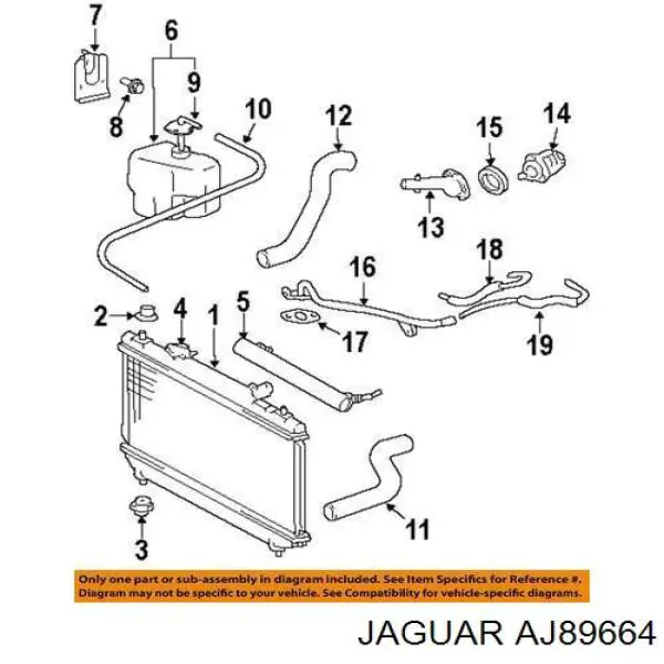 AJ89664 Jaguar 