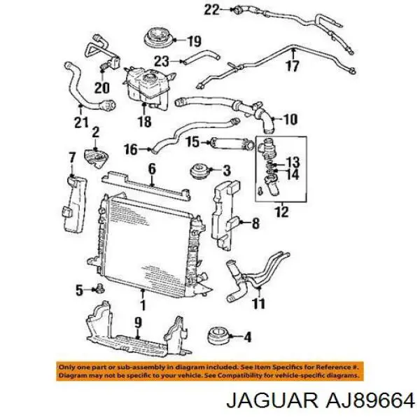  Jaguar AJ89664 ціна, від 75.08 USD