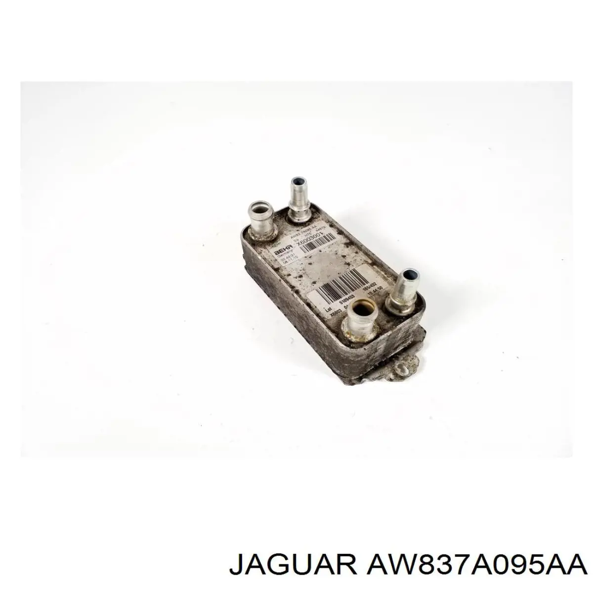 Радіатор охолодження, АКПП AW837A095AA Jaguar
