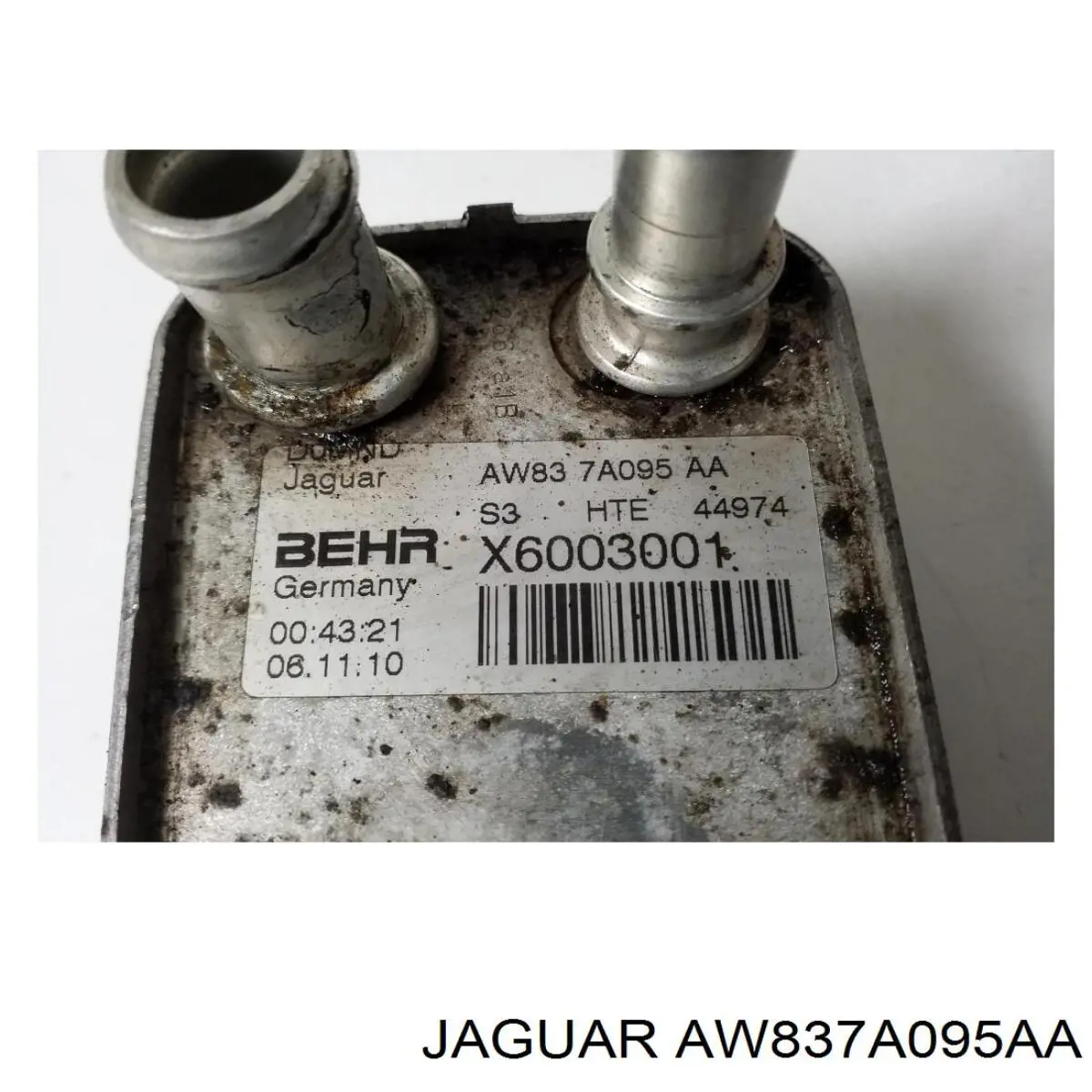 Купити AW837A095AA Jaguar Радіатор охолодження, АКПП